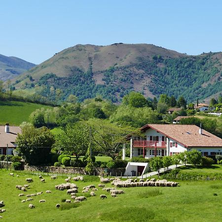 Baskoparadis I Eco-Gites I Calme I Vue I Anes I Jardin I Montagne I Nature Louhossoa Exteriér fotografie