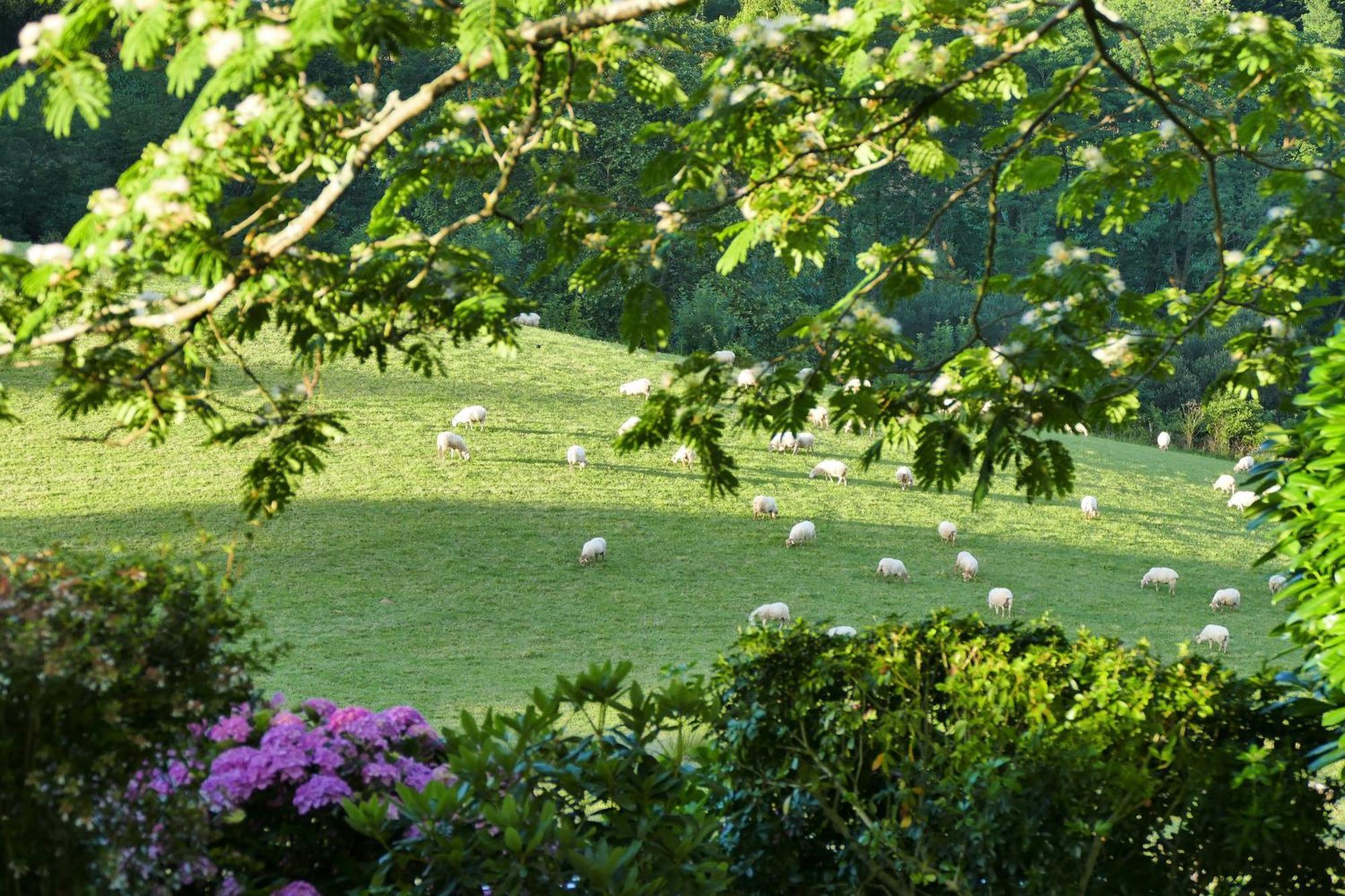 Baskoparadis I Eco-Gites I Calme I Vue I Anes I Jardin I Montagne I Nature Louhossoa Exteriér fotografie