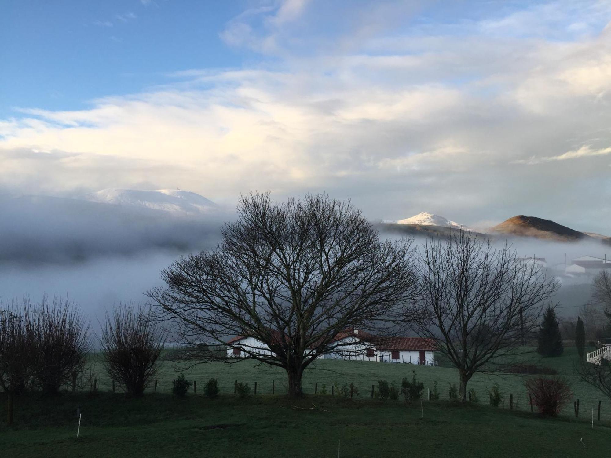 Baskoparadis I Eco-Gites I Calme I Vue I Anes I Jardin I Montagne I Nature Louhossoa Exteriér fotografie
