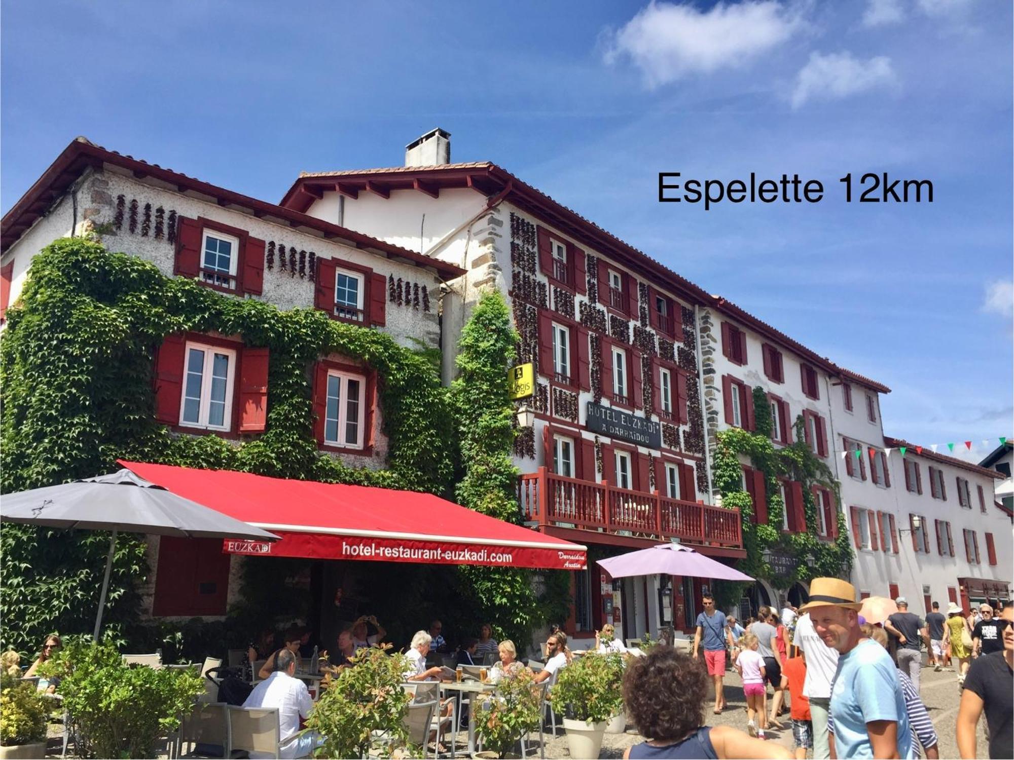 Baskoparadis I Eco-Gites I Calme I Vue I Anes I Jardin I Montagne I Nature Louhossoa Exteriér fotografie