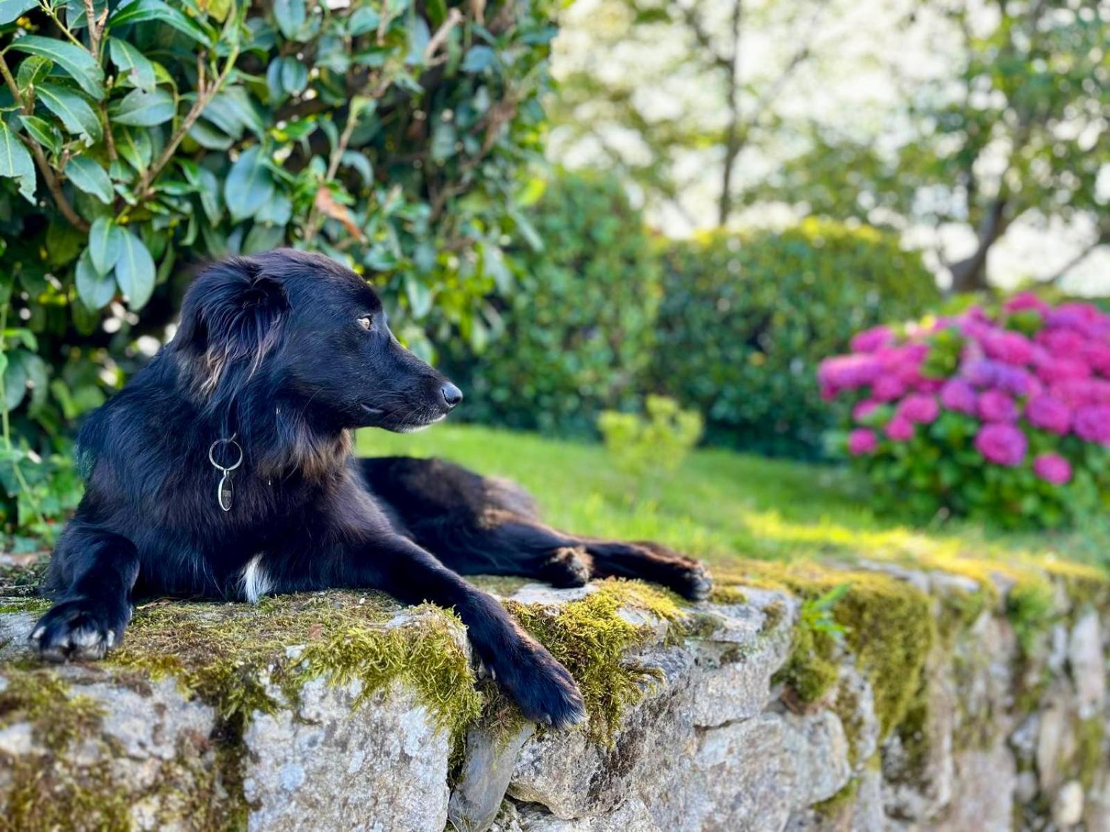 Baskoparadis I Eco-Gites I Calme I Vue I Anes I Jardin I Montagne I Nature Louhossoa Exteriér fotografie