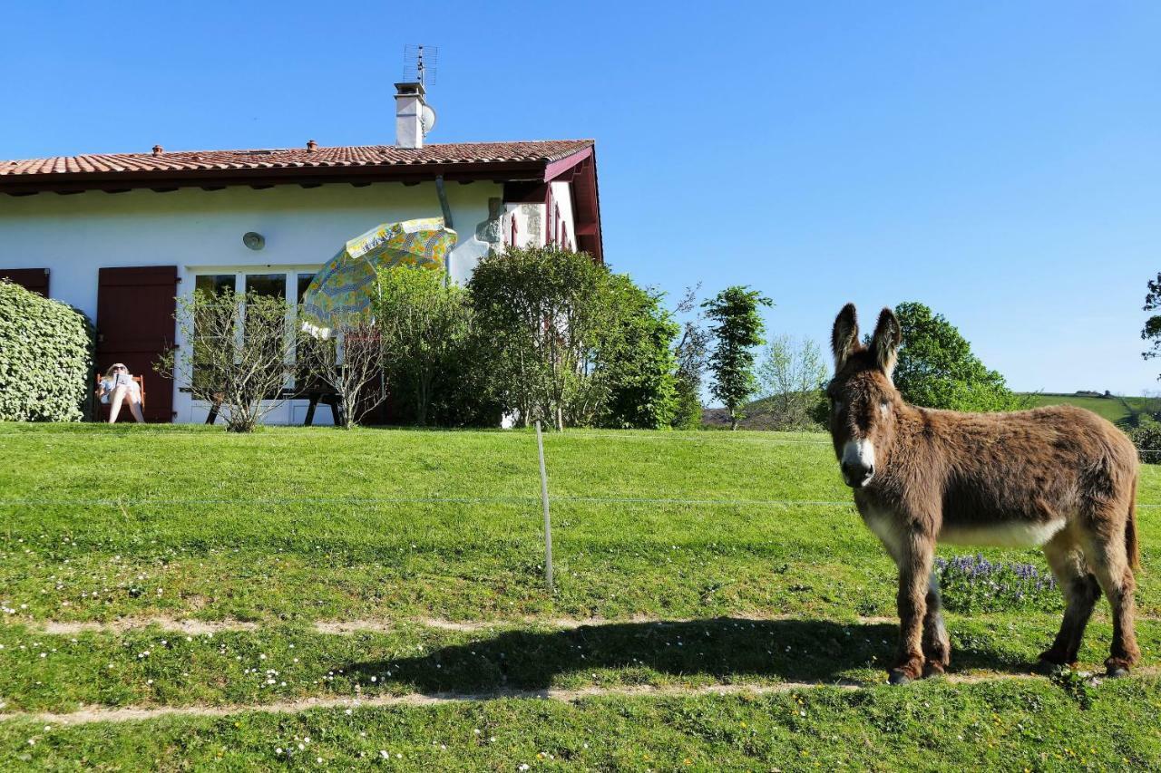 Baskoparadis I Eco-Gites I Calme I Vue I Anes I Jardin I Montagne I Nature Louhossoa Exteriér fotografie