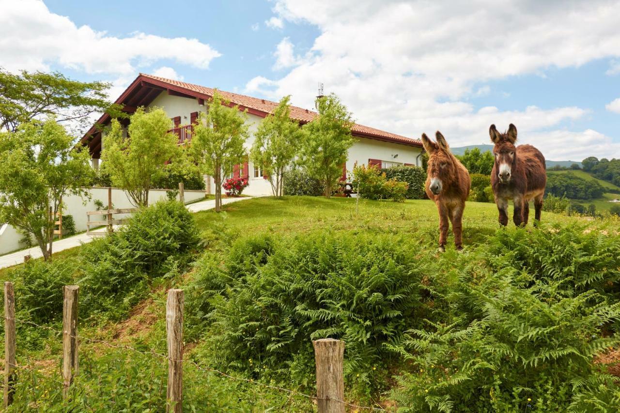 Baskoparadis I Eco-Gites I Calme I Vue I Anes I Jardin I Montagne I Nature Louhossoa Exteriér fotografie