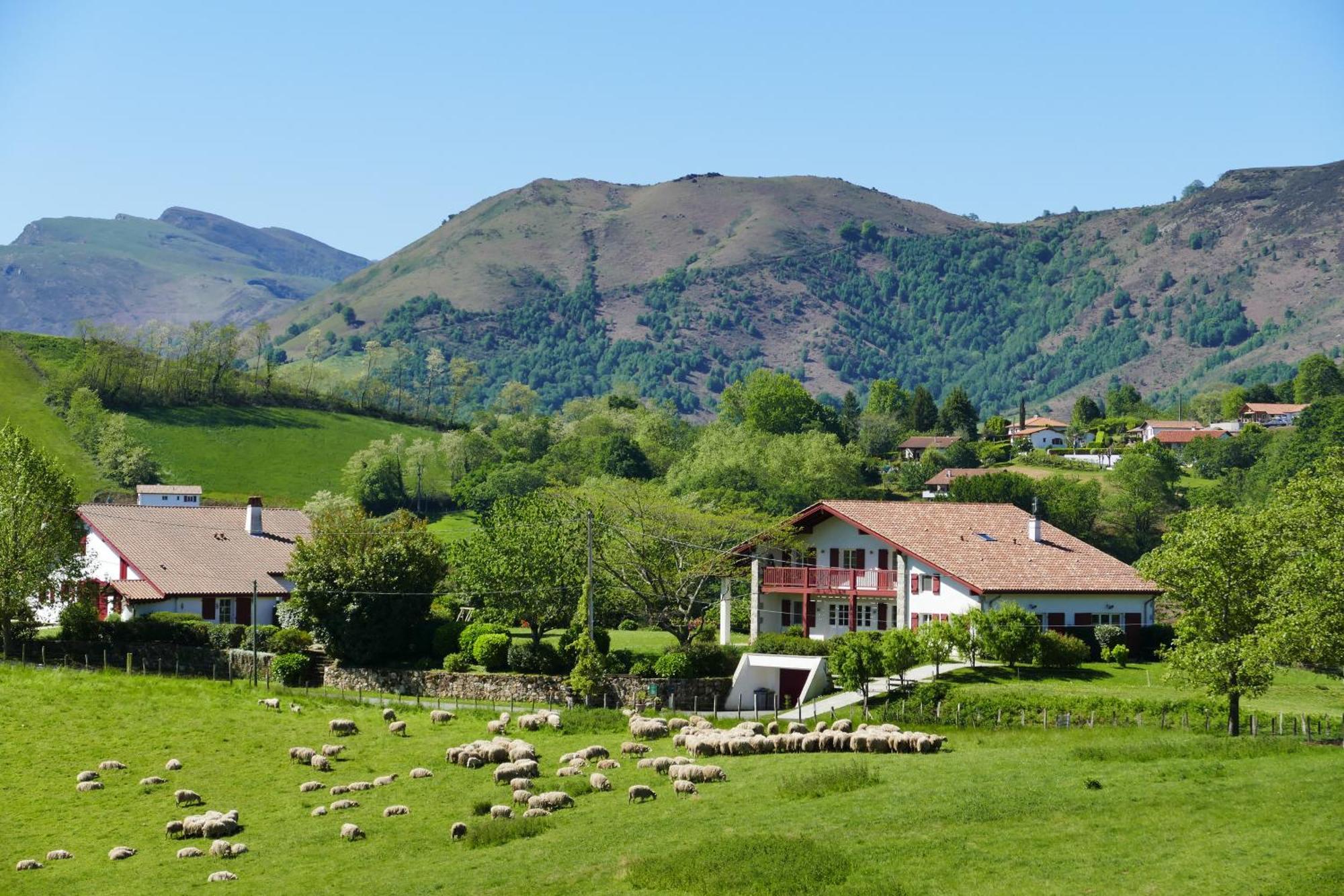 Baskoparadis I Eco-Gites I Calme I Vue I Anes I Jardin I Montagne I Nature Louhossoa Exteriér fotografie